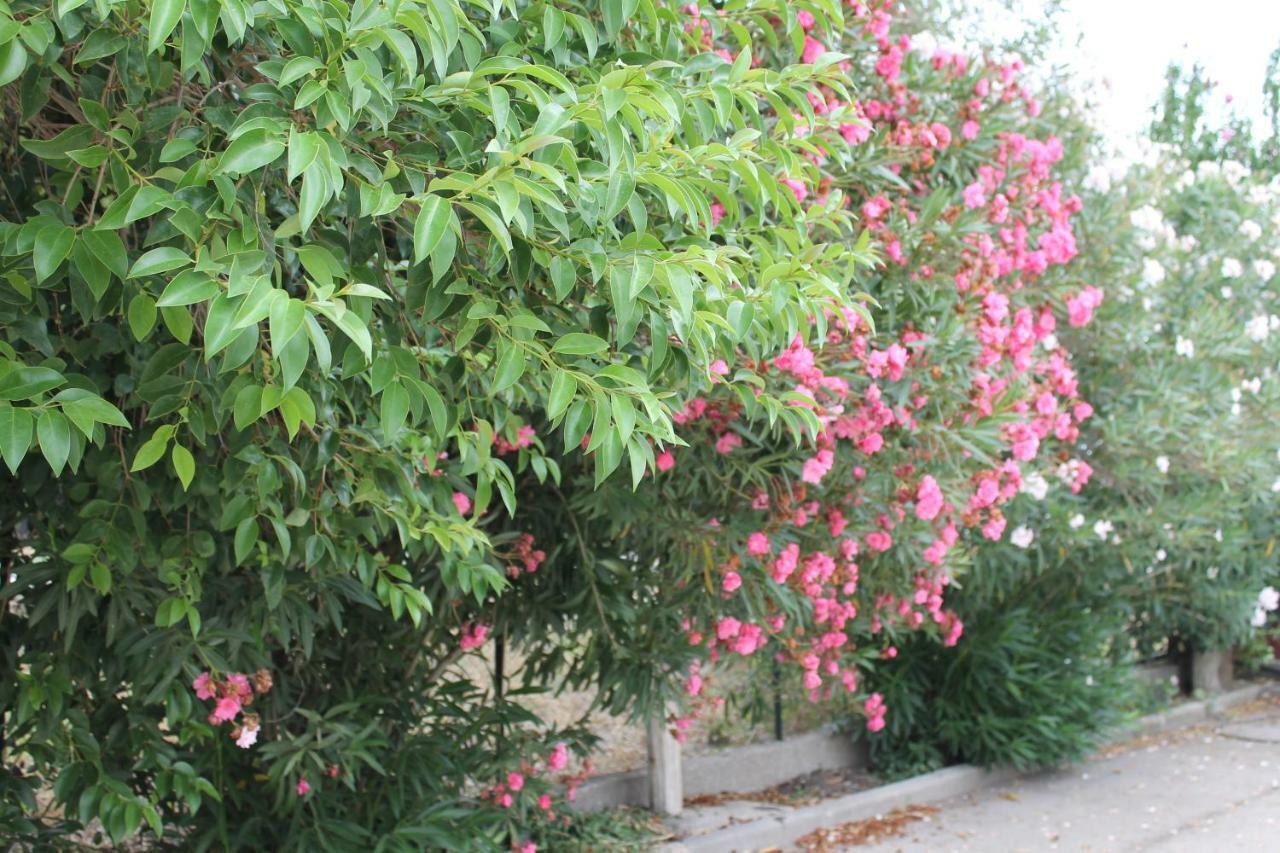 Le Anfore Di Arpi Foggia Exterior photo
